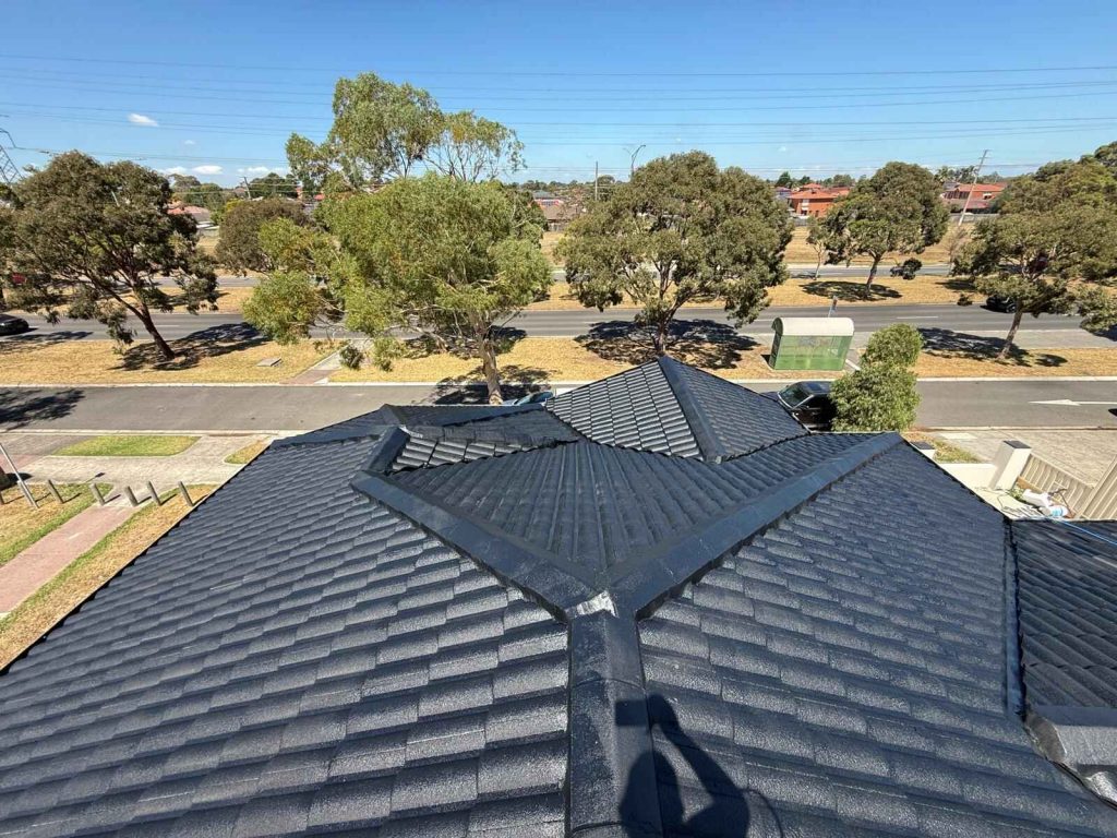 roof painting
